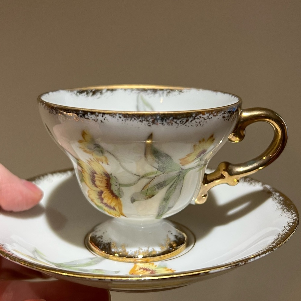 Ucago Floral China Teacup & Saucer Set with Gold Trim